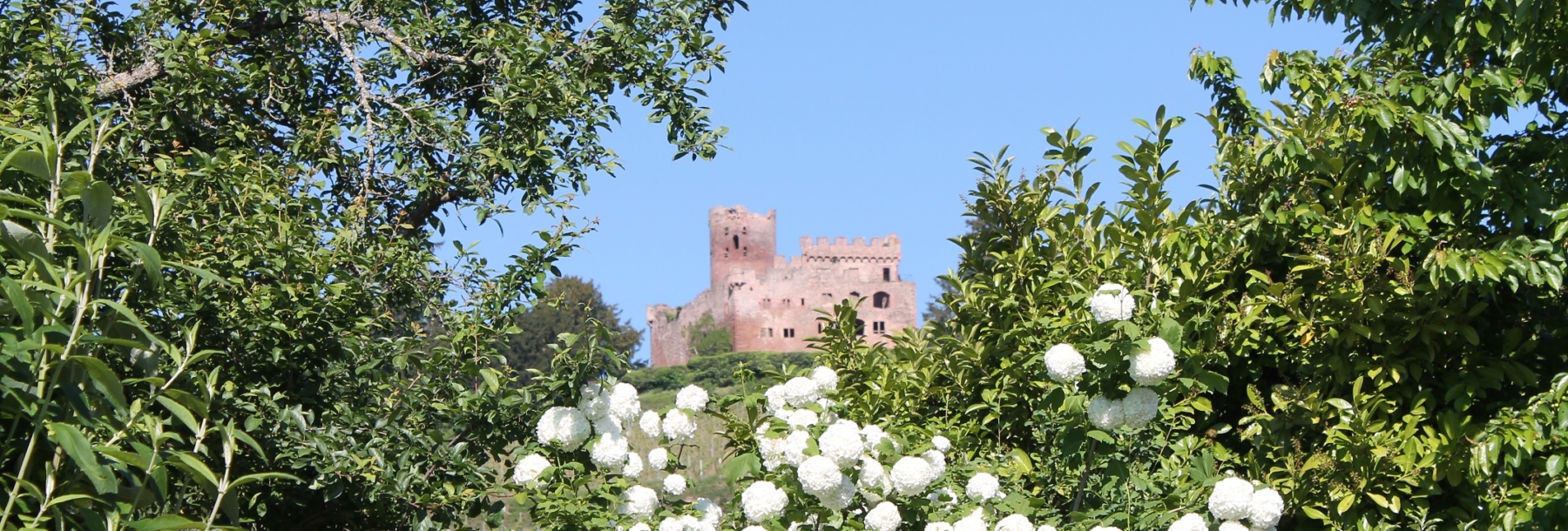 chateau kintzheim maison des épices