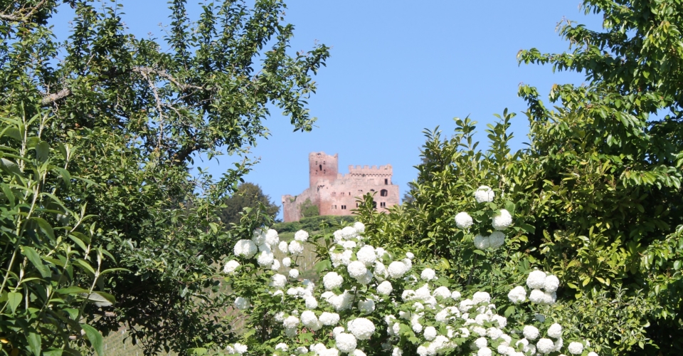 chateau kintzheim maison des épices